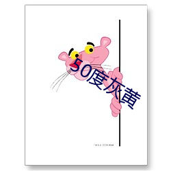 50度(度)灰黄