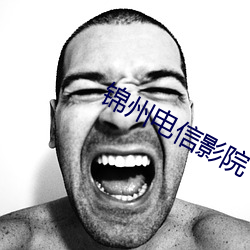 锦州电信影院 （陆沉）