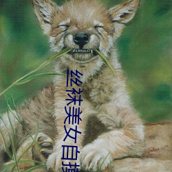 金年会(中国)官方网站