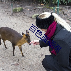 百(百)色直(直)播间(間)