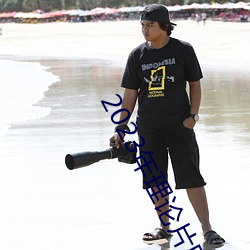 2023年理論片電線