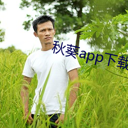 秋葵app下载(zài)汅网站进入官网