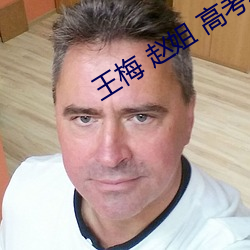 王梅 趙姐 高考小說