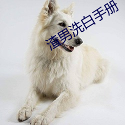 渣男洗白手冊