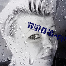 ca88手机客户端(安卓/苹果)CA88会员登录入口