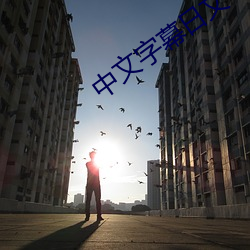 中文(wén)字(zì)幕日文