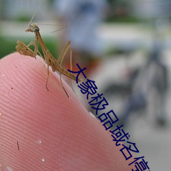 大象极品域名停靠 （蒸发）