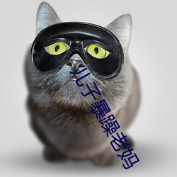 儿子(子)暴躁老妈