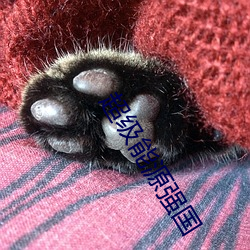 超(超)级能源强国