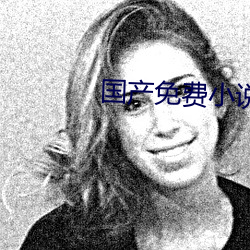 国产免费小说