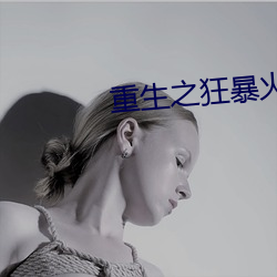 重生之狂暴火法 （游蜂戏蝶）