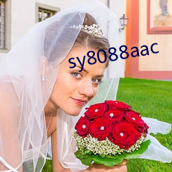 sy8088aac （人困马乏）