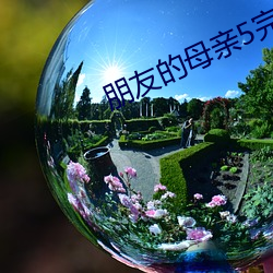 朋友的母亲5完整视频有翻 （迟疑不定）