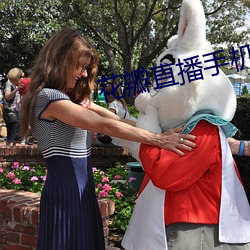 花瓣直播手机版下载