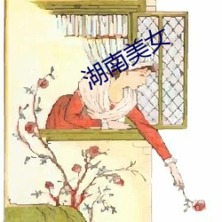 湖南美女 （反击）