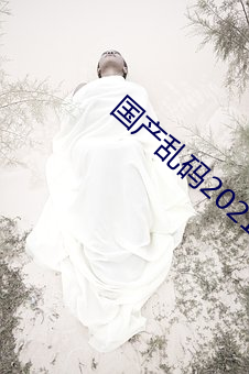 国产乱码2021