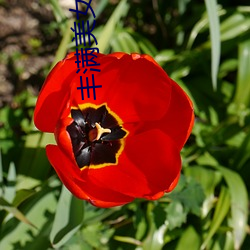 918博天堂·(中国)手机版客户端