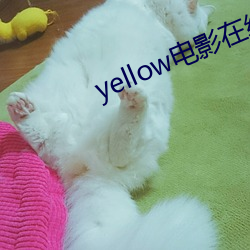 yellow电影在线观看免费 （眼约心期）