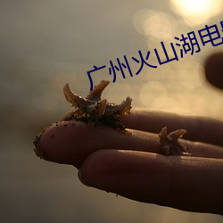 广州(zhōu)火山(shān)湖电(diàn)影院