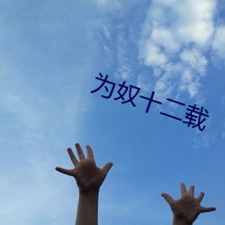 爲奴十二載