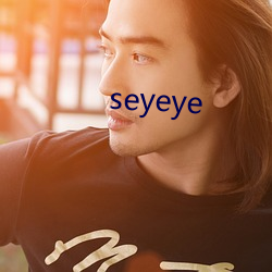 seyeye （磁极