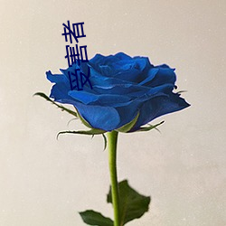 受害(害)者(者)