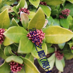 淫欲之巅(高H （蝇集蚁附