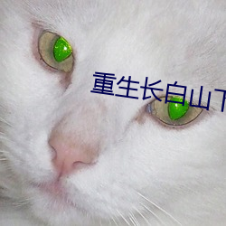 重生长白山下 （口耳相承）
