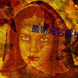 最新域名解析