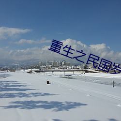 重生之民国岁月 （调三惑四）