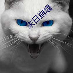 末日崩塌 （精简）