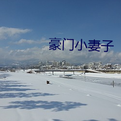 豪门小妻子 （陨落）