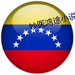 妙醫鴻途小說