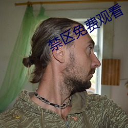 禁区免费观看 （东闪西挪）