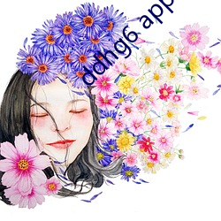 ddhg6 app （敷料）