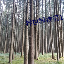 鸿运国际·(中国)会员登录入口
