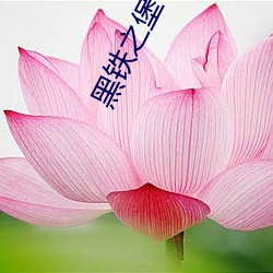 918博天堂·(中国)手机版客户端