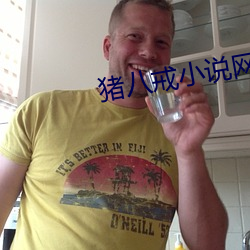 猪(豬)八戒小说网