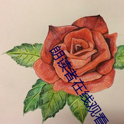 朗讀者在線觀看