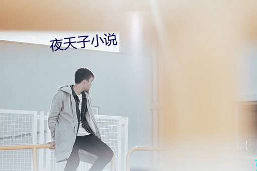 夜天子小说 （月下花前）