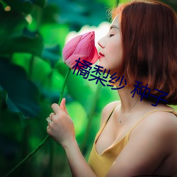 橘梨纱 种子