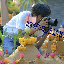 哈尔滨万达影院