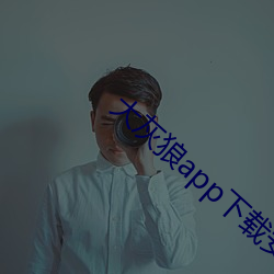 大灰狼app下载安卓