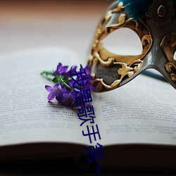 我是歌手第(第)一季