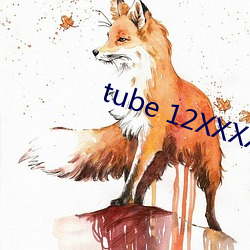 tube 12XXXXHD