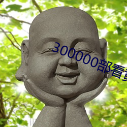 300000ƽ