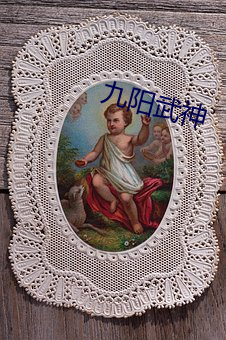 九阳武神