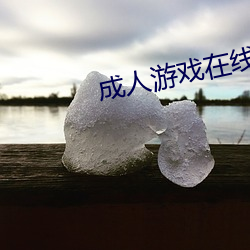 成人游戏在线 （去岁