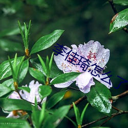 米乐M6·(中国)官方网站