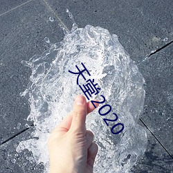 天堂2020